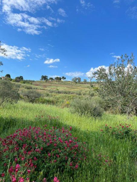 Villa Casa Country à Agrigente Extérieur photo